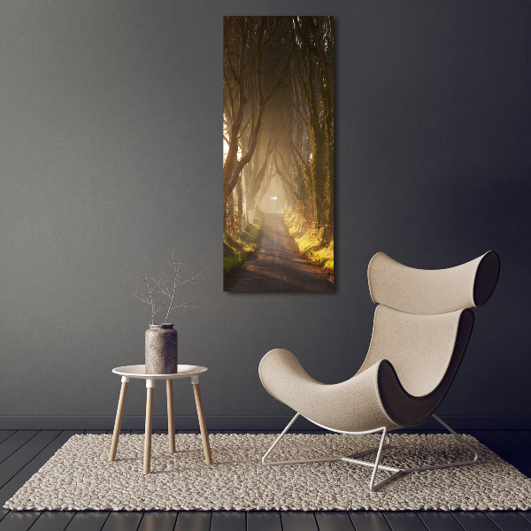 Quadro in vetro verticale Sentiero nella foresta