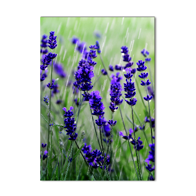 Quadro in vetro verticale Campo di lavanda