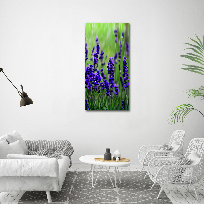 Quadro in vetro verticale Campo di lavanda
