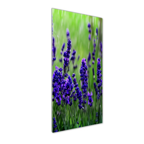 Quadro in vetro verticale Campo di lavanda