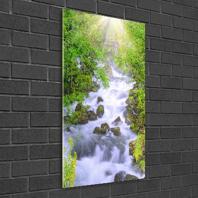 Quadro di vetro verticale Torrente di montagna