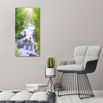 Quadro di vetro verticale Torrente di montagna