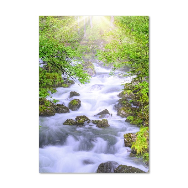 Quadro di vetro verticale Torrente di montagna