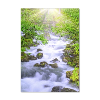 Quadro di vetro verticale Torrente di montagna