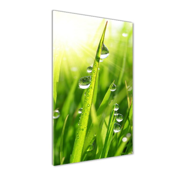 Quadro in vetro verticale Fili d'erba