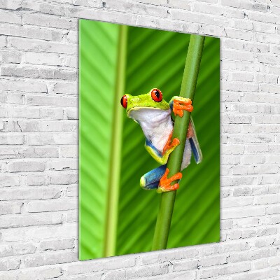 Quadro stampa su vetro verticale Rana arboricola europea