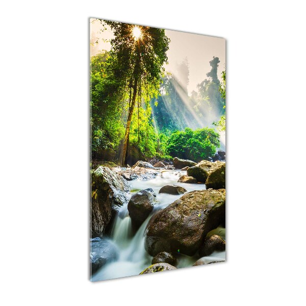 Quadro di vetro verticale Cascata nella foresta