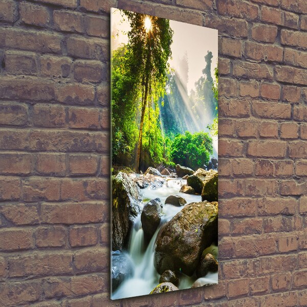 Quadro di vetro verticale Cascata nella foresta