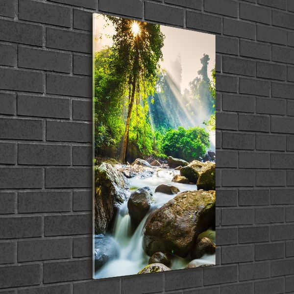 Quadro di vetro verticale Cascata nella foresta