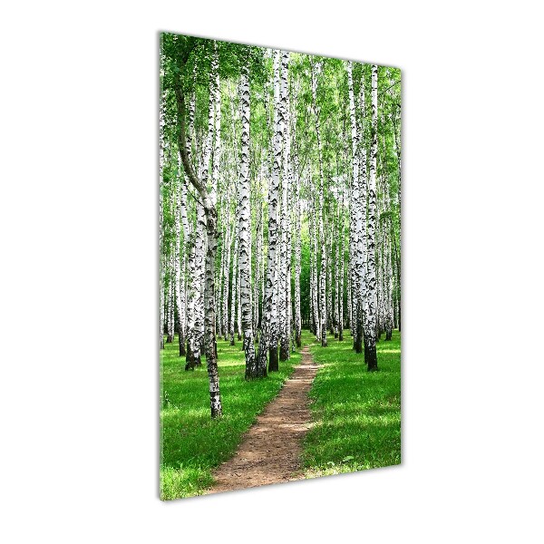 Quadro stampa su vetro verticale Foresta di betulle