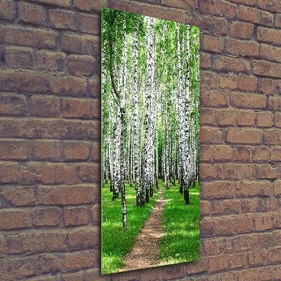 Quadro stampa su vetro verticale Foresta di betulle