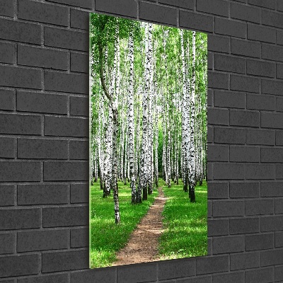 Quadro stampa su vetro verticale Foresta di betulle
