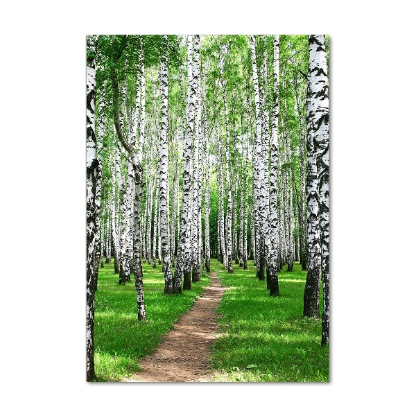 Quadro stampa su vetro verticale Foresta di betulle