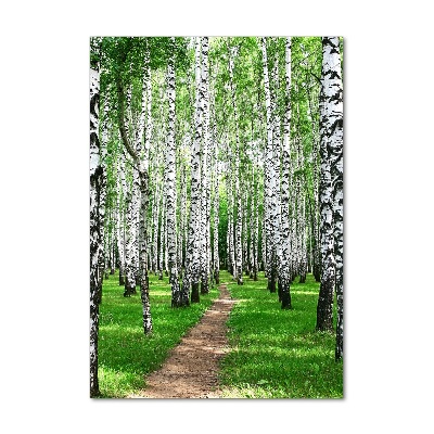 Quadro stampa su vetro verticale Foresta di betulle