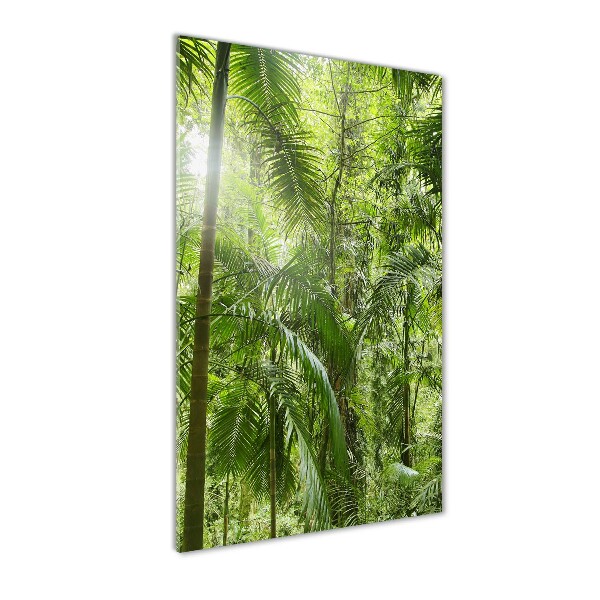 Quadro vetro verticale Foresta pluviale