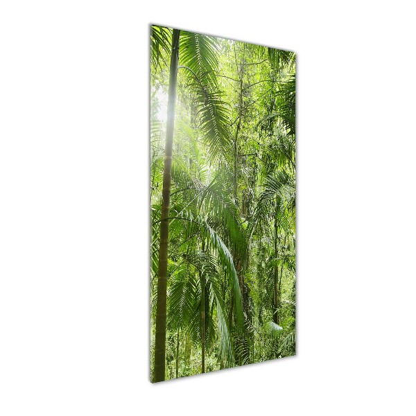 Quadro vetro verticale Foresta pluviale