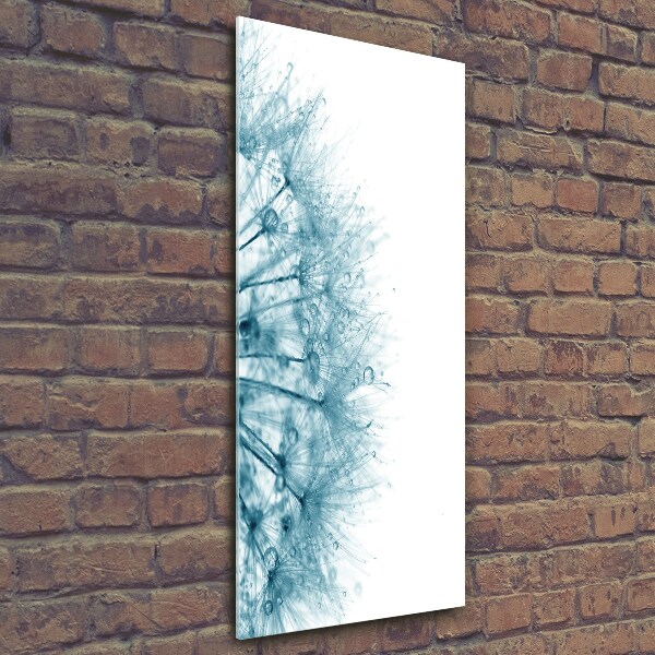 Quadro di vetro verticale Semi di tarassaco