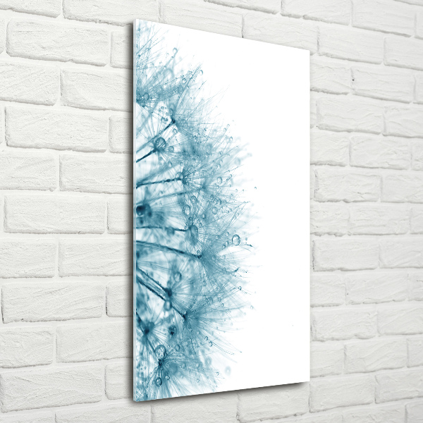 Quadro di vetro verticale Semi di tarassaco