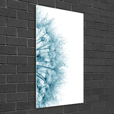 Quadro di vetro verticale Semi di tarassaco