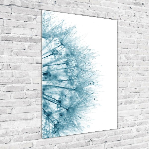 Quadro di vetro verticale Semi di tarassaco