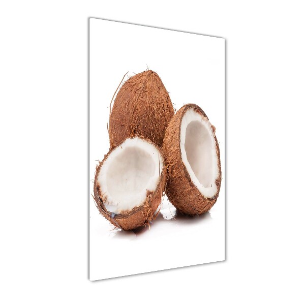 Quadro vetro verticale Noce di cocco