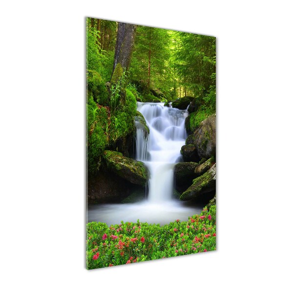 Quadro vetro verticale Cascata nella foresta