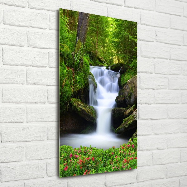 Quadro vetro verticale Cascata nella foresta
