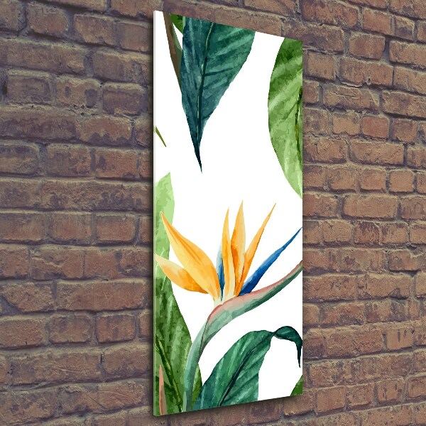 Quadro vetro verticale Strelitzia reginae
