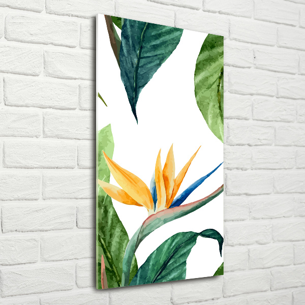 Quadro vetro verticale Strelitzia reginae