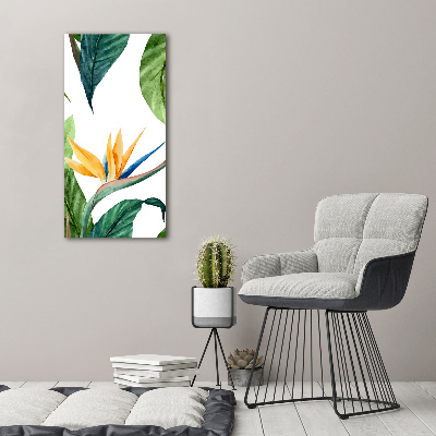 Quadro vetro verticale Strelitzia reginae