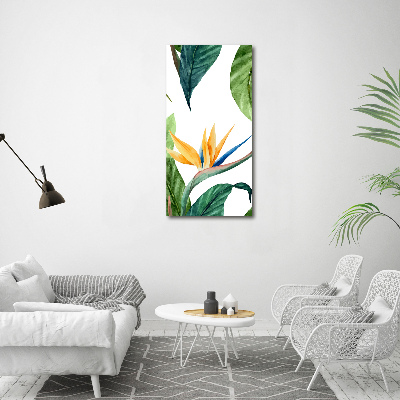 Quadro vetro verticale Strelitzia reginae
