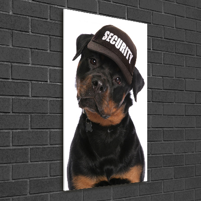 Quadro di vetro verticale Rottweiler con il berretto
