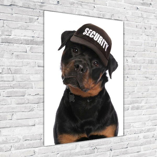 Quadro di vetro verticale Rottweiler con il berretto