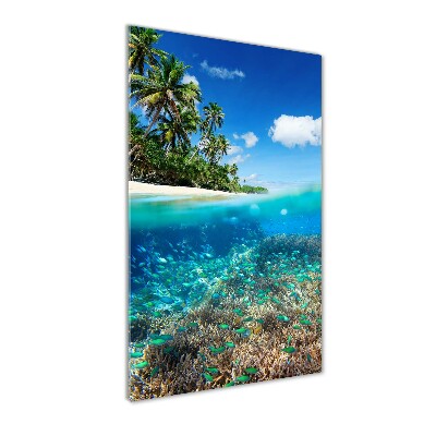 Quadro vetro verticale Barriera corallina