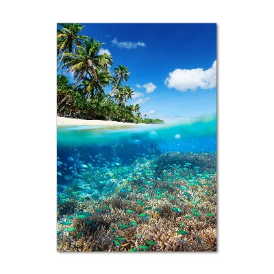 Quadro vetro verticale Barriera corallina
