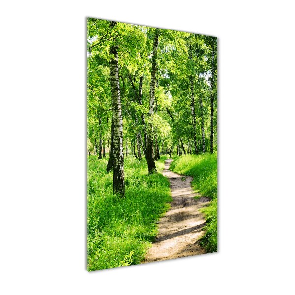 Quadro di vetro verticale Foresta di betulle