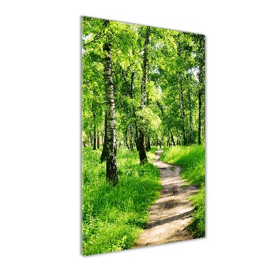 Quadro di vetro verticale Foresta di betulle