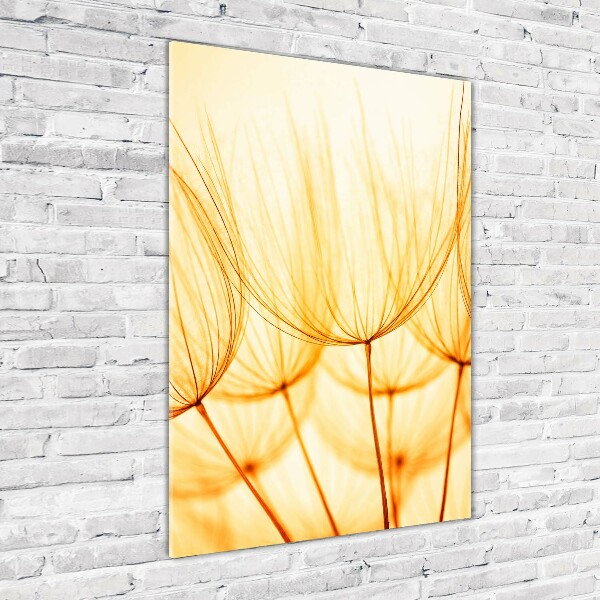 Quadro di vetro verticale Semi di tarassaco