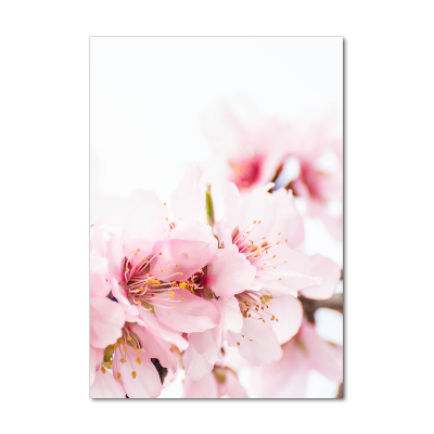 Quadro in vetro verticale Fiori di mandorlo