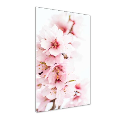 Quadro in vetro verticale Fiori di mandorlo