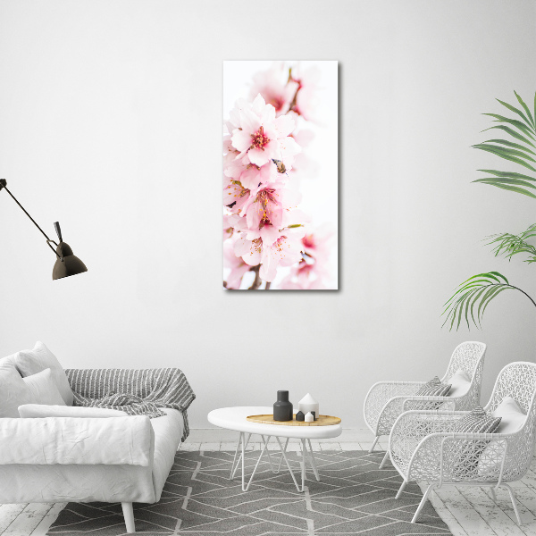 Quadro in vetro verticale Fiori di mandorlo
