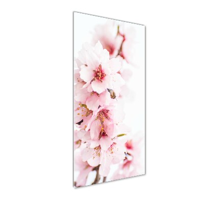 Quadro in vetro verticale Fiori di mandorlo