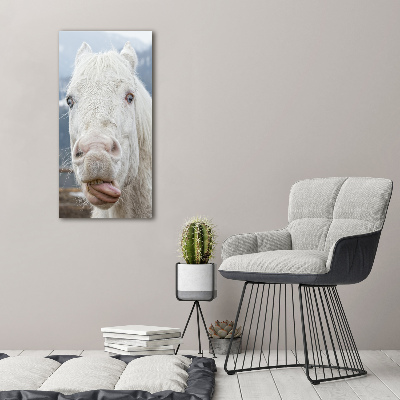 Quadro in vetro verticale Cavallo Bianco Pazzo