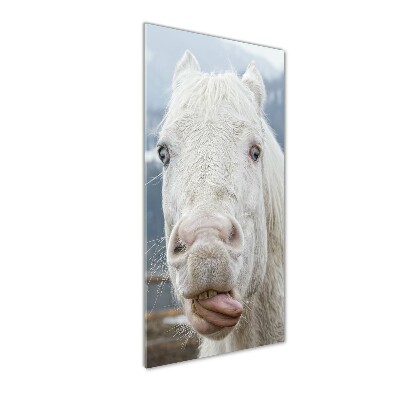 Quadro in vetro verticale Cavallo Bianco Pazzo