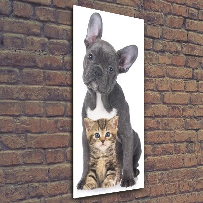 Quadro di vetro verticale Cane e gatto
