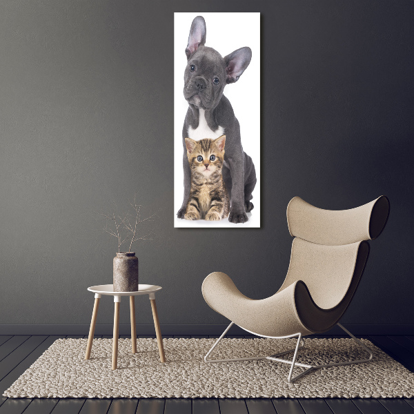 Quadro di vetro verticale Cane e gatto