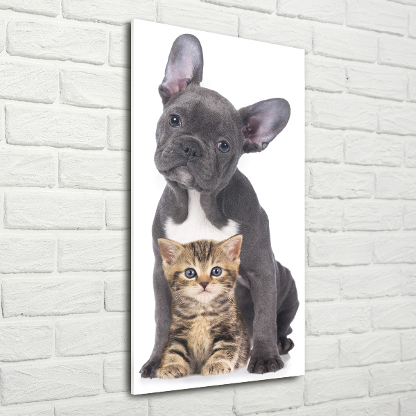 Quadro di vetro verticale Cane e gatto