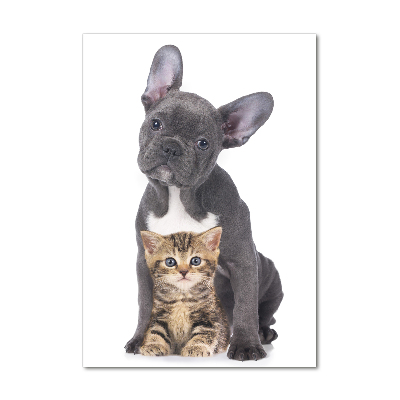 Quadro di vetro verticale Cane e gatto