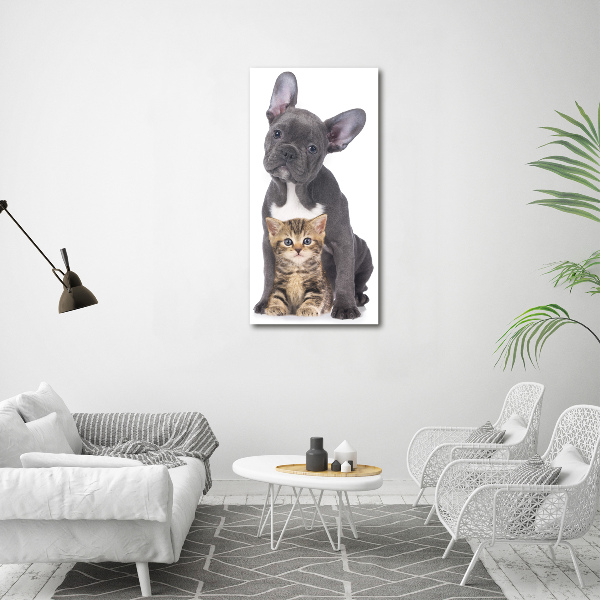 Quadro di vetro verticale Cane e gatto