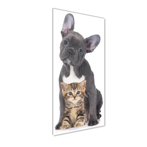 Quadro di vetro verticale Cane e gatto
